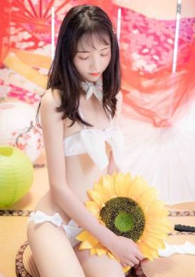 小姐电影免费看_BD国语BD在线观看